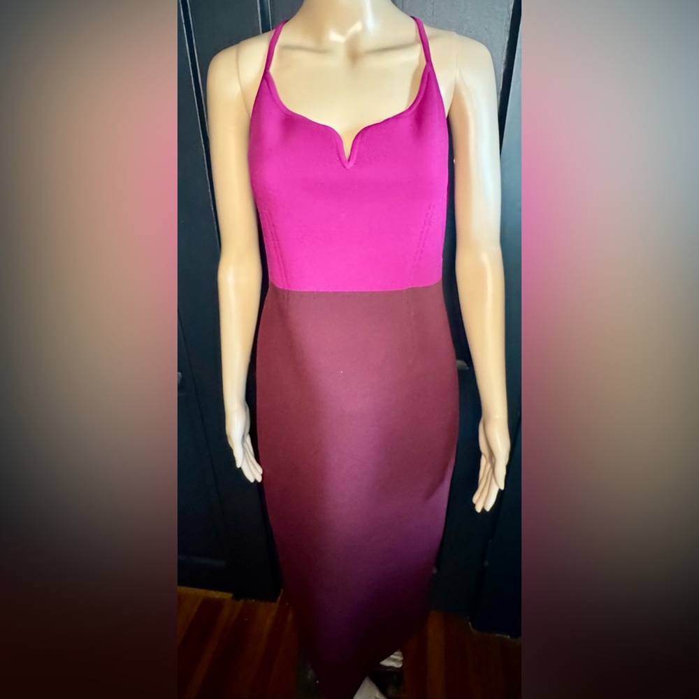 Express Pink and Burgundy Dress, Large